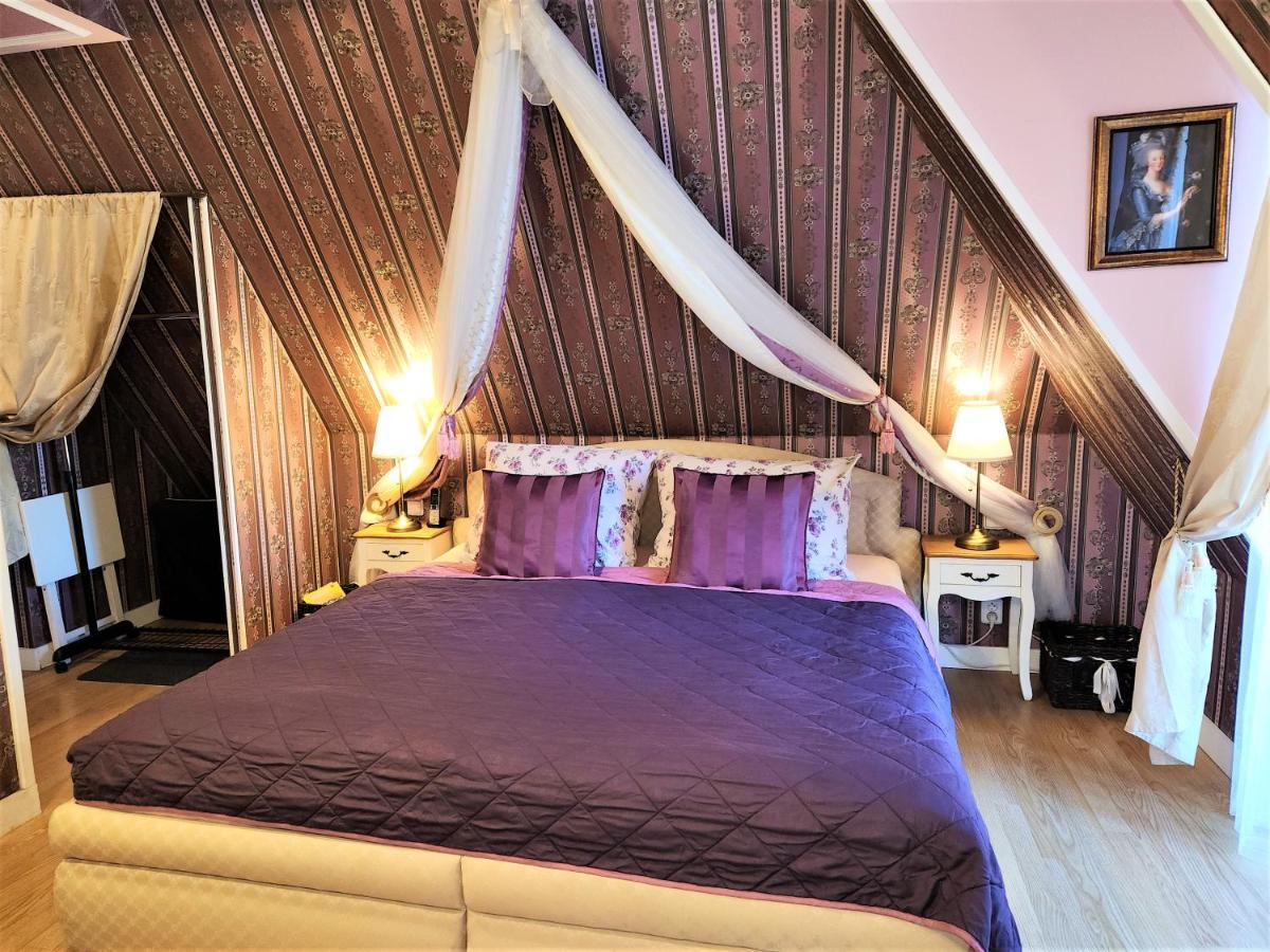 Rezidence Zamecek - Boutique Hotel Františkovy Lázně エクステリア 写真